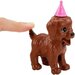 Set de joaca Barbie - Puppy party